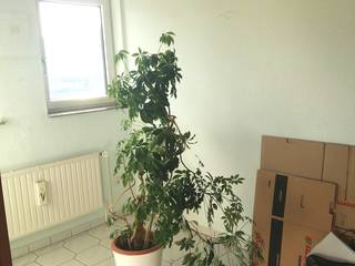 Interiordesign - Susane Schreiber-Beckmann gestaltet Räume.