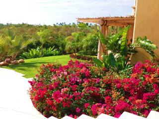 Casa Palomar Costas del Pacifico, PaisajesyAmbientes PaisajesyAmbientes Jardines tropicales