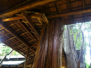 樹木傘, 守山登建築研究所 守山登建築研究所 พื้นที่เชิงพาณิชย์ ไม้ Wood effect
