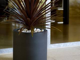 Fiber Reinforced Planters, Scube Creations Scube Creations مساحات تجارية