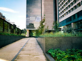 Latitud Polanco, KVR Paisaje KVR Paisaje Interior garden Granite