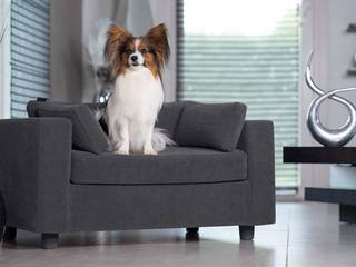 Cuccie per cani e gatti originale e confortovole Marchio francese Giusypop, GIUSYPOP GIUSYPOP Modern living room لکڑی Wood effect