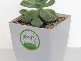 Matera small 12cm, Viridis Productos Eco Amigables Viridis Productos Eco Amigables Moderne Badezimmer Plastik