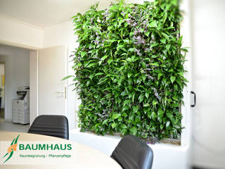 Grüne Wände im Büro oder die BAUMHAUS - Stand-Alone Pflanzwand, BAUMHAUS GmbH Raumbegrünung Pflanzenpflege BAUMHAUS GmbH Raumbegrünung Pflanzenpflege Gewerbeflächen