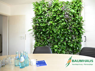 Grüne Wände im Büro oder die BAUMHAUS - Stand-Alone Pflanzwand, BAUMHAUS GmbH Raumbegrünung Pflanzenpflege BAUMHAUS GmbH Raumbegrünung Pflanzenpflege Gewerbeflächen