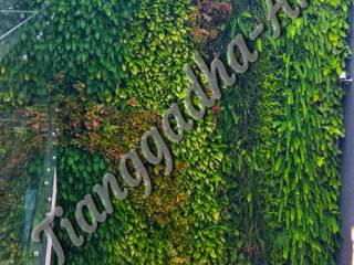 Tukang Taman Vertikal Garden, Tukang Taman Surabaya - Tianggadha-art Tukang Taman Surabaya - Tianggadha-art Estanques de jardín Aluminio/Cinc