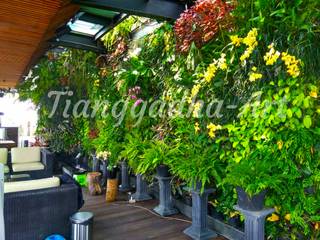 Tukang Taman Vertical Garden, Tukang Taman Surabaya - Tianggadha-art Tukang Taman Surabaya - Tianggadha-art Estanques de jardín Aluminio/Cinc