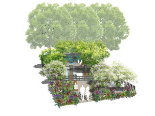 Conceptual Design for RHS Chelsea, Aralia Aralia Jardin zen Ardoise Vert