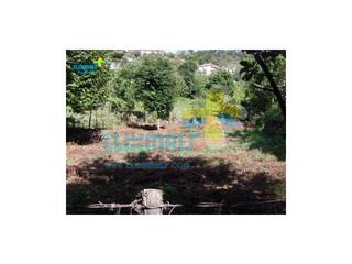 Terreno plano com casa para re-construção. Referência: clix mais v1.141 Casas campestres por Clix Mais Campestre