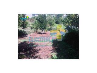 Terreno plano com casa para re-construção. Referência: clix mais v1.141 por Clix Mais Campestre