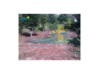 Terreno plano com casa para re-construção. Referência: clix mais v1.141 por Clix Mais Campestre