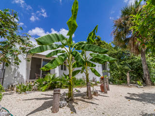 Casa Nohol, Pangea Arquitectura & diseño Pangea Arquitectura & diseño Jardines con piedras