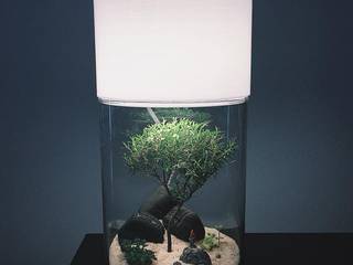 Terrarium Lamp - Personalised, Marga Marga حديقة داخلية زجاج
