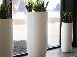 PLANTER, Glastres Greens Glastres Greens حديقة داخلية