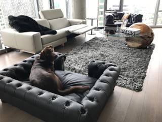 Dog Bed - Balmoral design, Scott's of london Scott's of london Classic style living room Leather Grey