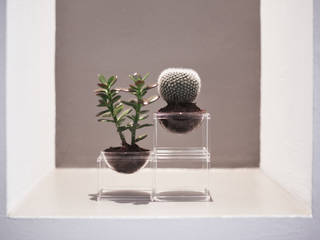 PLANET WITHOUT THE E - MINI PLANTER SET, Studio Maiden Studio Maiden مساحات تجارية