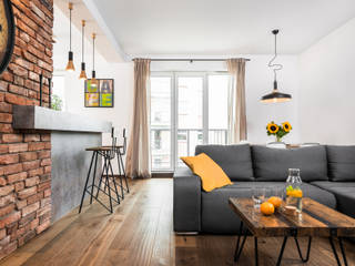 APARTAMENT W KRAKOWIE, AP interiors AP interiors 모던스타일 거실