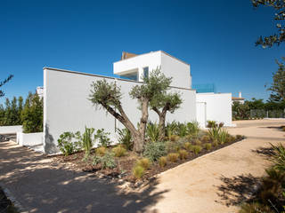 Casa Salicos, dacruzphoto dacruzphoto Walls Concrete