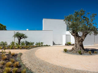 Casa Salicos, dacruzphoto dacruzphoto Modern Duvar & Zemin Beton