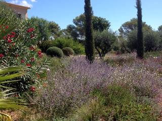 Jardin de campo en Baleares, François d'Orléans Landscape Architecture Studio François d'Orléans Landscape Architecture Studio Jardines de estilo rural