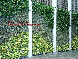 JASA TUKANG TAMAN VERTIKAL SURABAYA - Vertical garden, TUKANG TAMAN SURABAYA - jasataman.co.id TUKANG TAMAN SURABAYA - jasataman.co.id Jardin tropical