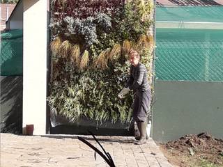 Muro verde Chicureo, Naturae EIRL Naturae EIRL Jardines delanteros