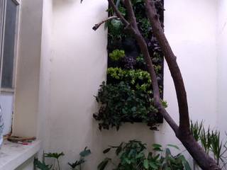 Patio interior Hospital Lucio Córdoba, Naturae EIRL Naturae EIRL Jardins de inverno modernos