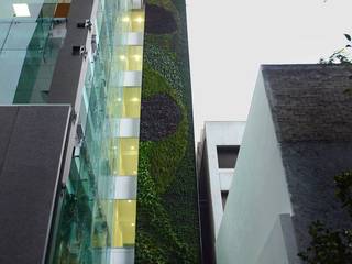 Muros Verdes, Designo Arquitectos Designo Arquitectos Commercial spaces Bamboo Green