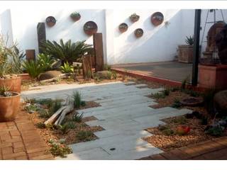 Low maintenance, succulent, townhouse garden, Young Landscape Design Studio Young Landscape Design Studio