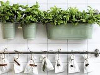 Ideas para decorar con plantas, Decopot.es Decopot.es Cozinhas modernas