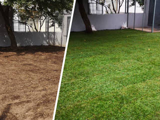 ANTES e DEPOIS! , GRASS4YOU GRASS4YOU