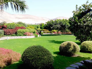 Paisajismo Campo-Playa, Lima Perú, DECOGARDEN: PAISAJISMO Y JARDINERÍA DECOGARDEN: PAISAJISMO Y JARDINERÍA Tropical style garden