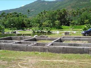 好山好水好安全，綠建築三層日式別墅, 安居住宅有限公司 安居住宅有限公司 Casas de campo