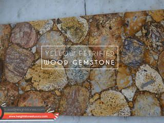 Yellow Petrified Wood slabs - height stones luxury , Height Stones Height Stones