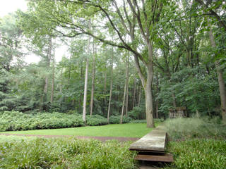 ​Forest garden - The long floating line.., Andredw van Egmond | designing garden and landscape Andredw van Egmond | designing garden and landscape Сад