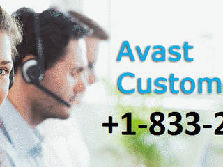 For Scanning Issues Contact 1-833-284-2444 Avast Tech Support Number , anabelsmith.988 anabelsmith.988