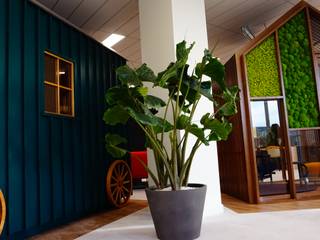 Apport végétal by Green Lab design, Green Lab Design Green Lab Design Рабочий кабинет в тропическом стиле
