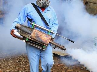 Pest Managers Cape Town, Pest Managers Cape Town - Pest Control Pest Managers Cape Town - Pest Control
