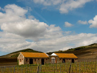 Melaria Torres Vedras, Silva Cravo Arquitectos Silva Cravo Arquitectos Ruang Penyimpanan Wine/Anggur Gaya Rustic