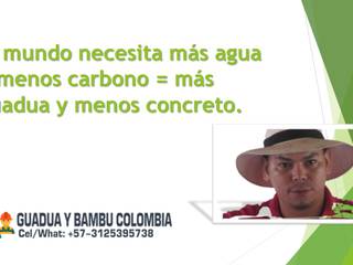 GUADUA Y BAMBU COLOMBIA