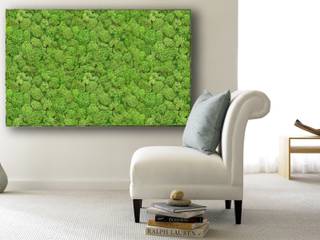 Moosbilder, arts&more arts&more Modern living room Green