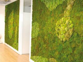 Moosbilder, arts&more arts&more Ingresso, Corridoio & Scale in stile moderno Verde
