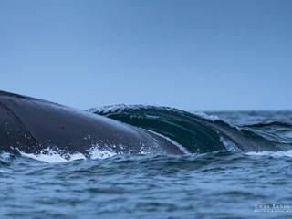 Photographies de sous-marin en mer de Bretagne, Ewan Photographe de mer Ewan Photographe de mer Meer ruimtes