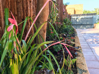 Jardin en La Fosca, Nosaltres Toquem Fusta S.L. Nosaltres Toquem Fusta S.L. Tropical style garden