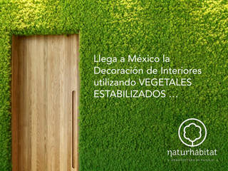 VERTICAL GARDEN BY NATURHABITAT, NATURHABITAT NATURHABITAT حديقة أنسجة طبيعية Beige