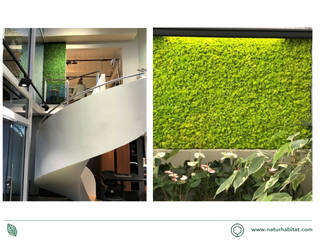 VERTICAL GARDEN BY NATURHABITAT, NATURHABITAT NATURHABITAT Jardines de estilo moderno Fibra natural Beige