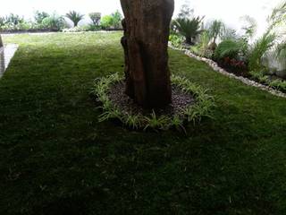 Proyecto Landscape, Grupo Viesa Grupo Viesa Modern garden