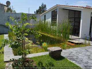 biopiscinas nadar en agua viva, Biopiscinas Tepoztlan Biopiscinas Tepoztlan Piscinas naturales Madera Acabado en madera