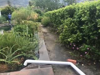 Garden revamp – Constantia, Village Gardens Village Gardens