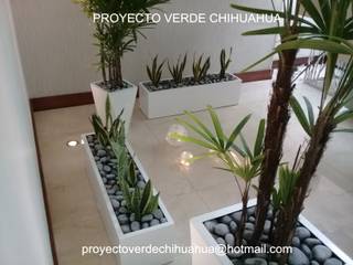 DISEÑO VERDE DE INTERIOR , PROYECTO VERDE CHIHUAHUA PROYECTO VERDE CHIHUAHUA حديقة داخلية رخام